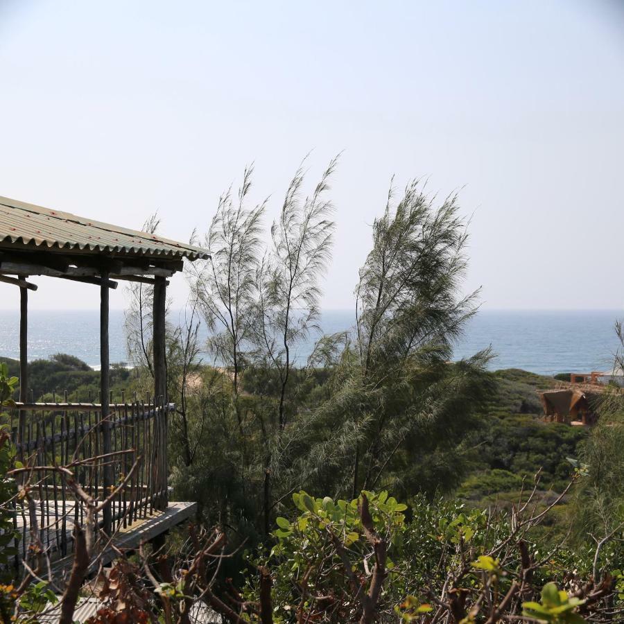 Tree House Villa Praia do Praia do Tofo Dış mekan fotoğraf